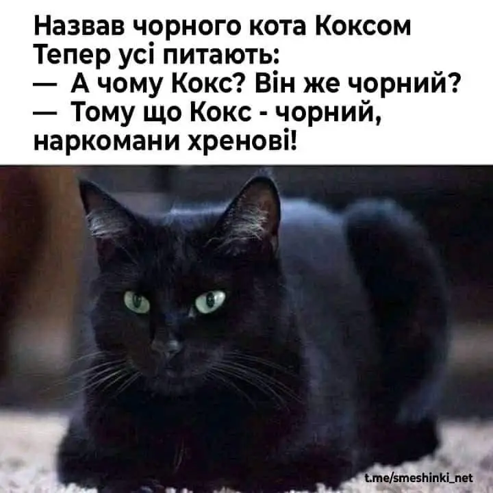 FB_IMG_1650096878983.webp