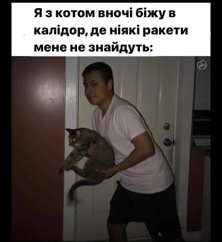 FB_IMG_1650128052435.webp