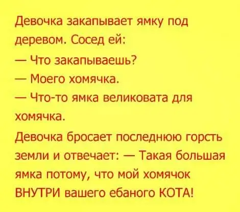 FB_IMG_1650256413141.webp