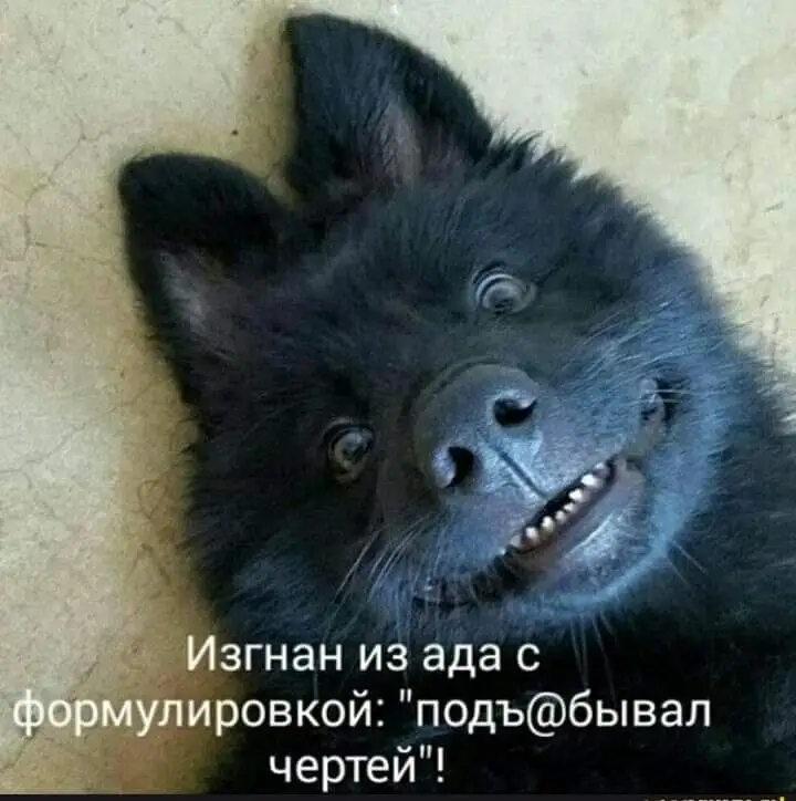 FB_IMG_1650265619899.webp
