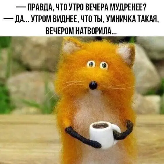 FB_IMG_1650392996250.webp
