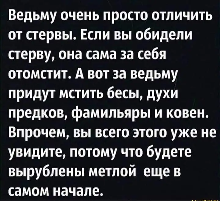FB_IMG_1650437743960.webp