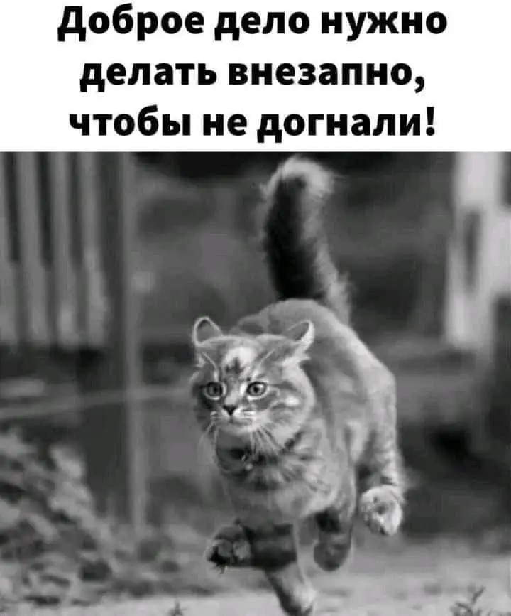 FB_IMG_1650486223289.webp