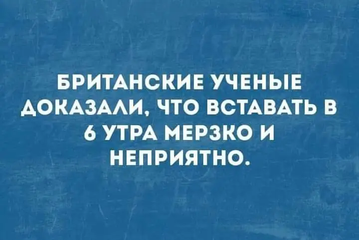 FB_IMG_1651686325120.webp