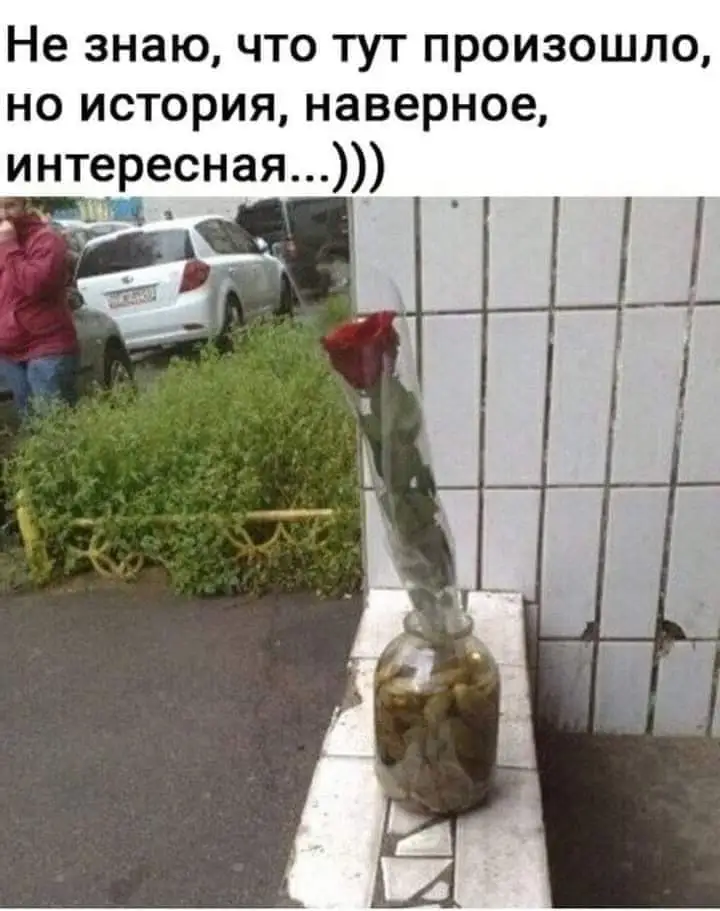 FB_IMG_1652537486261.webp