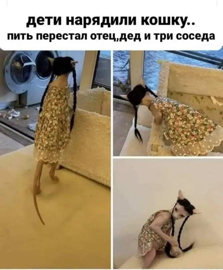 FB_IMG_1654543455278.webp