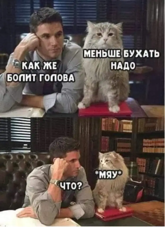 FB_IMG_1655634182109.webp