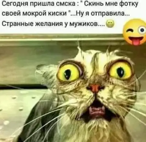 FB_IMG_1656167051970.webp