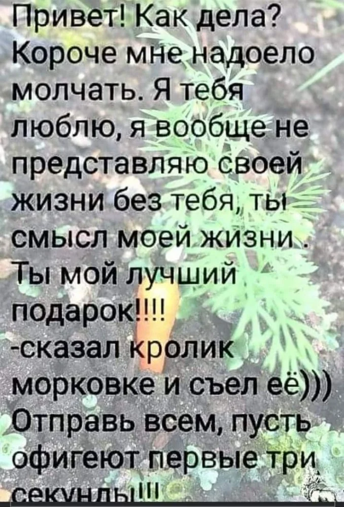 FB_IMG_1656168353736.jpg