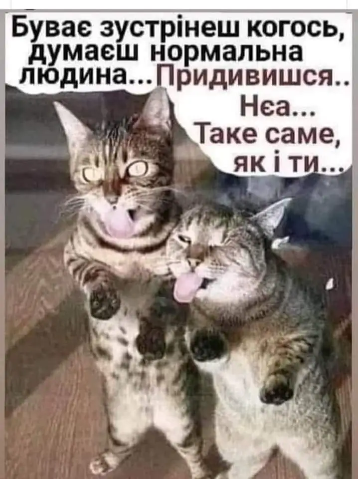 FB_IMG_1657304956996.webp