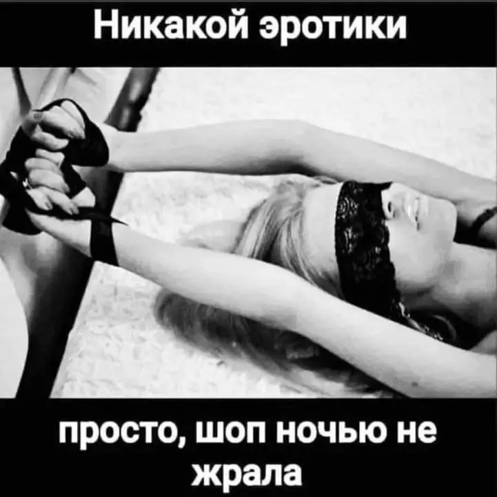 FB_IMG_1657654793272.webp