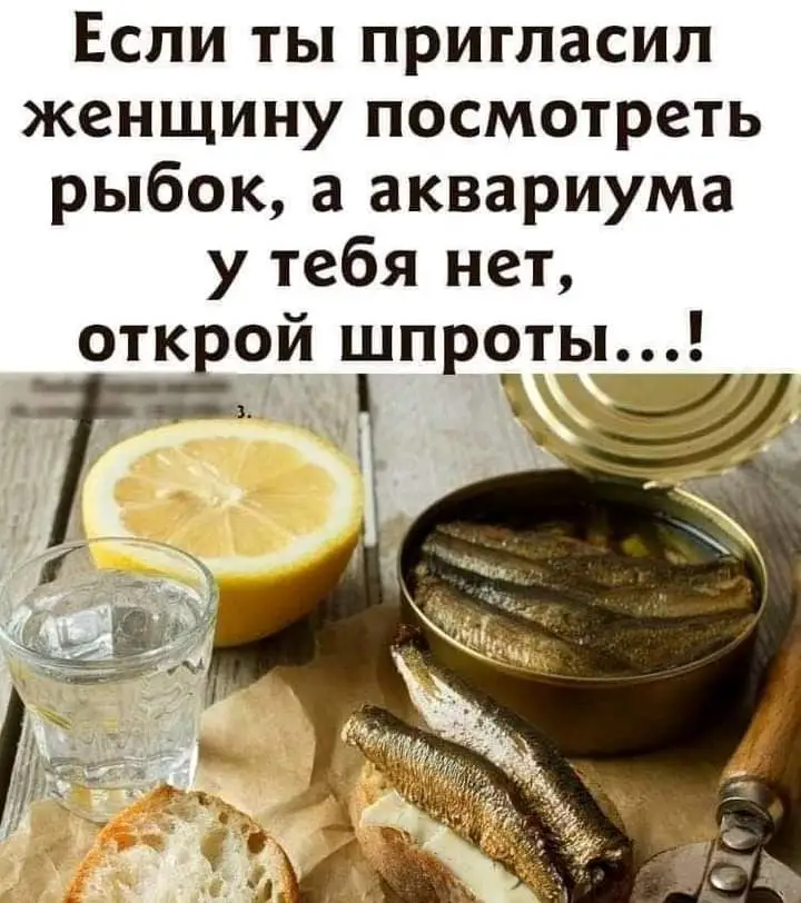 FB_IMG_1658425679232.jpg