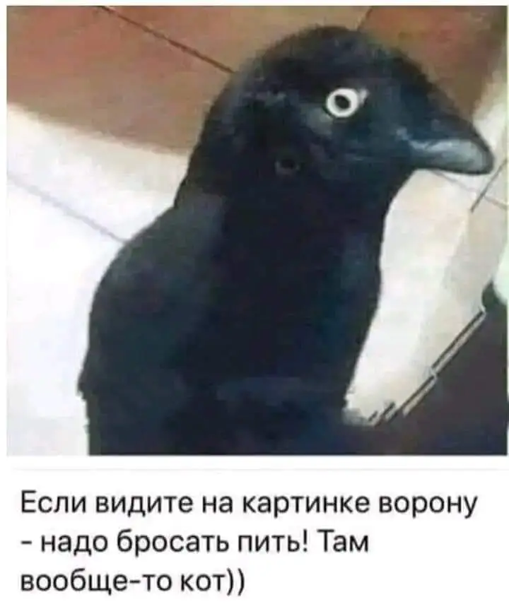 FB_IMG_1658686220427.webp
