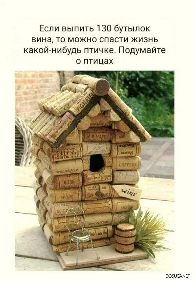 FB_IMG_1658756906614.webp