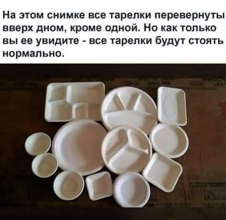 FB_IMG_1659293319135.webp