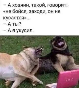 FB_IMG_1659350289748.webp