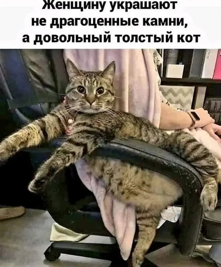 FB_IMG_1660750464849.webp