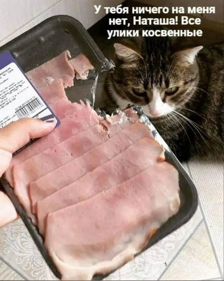 FB_IMG_1664453006679.webp