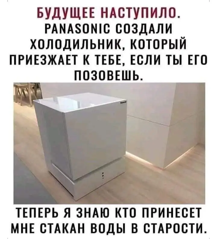 FB_IMG_1665482096966.webp