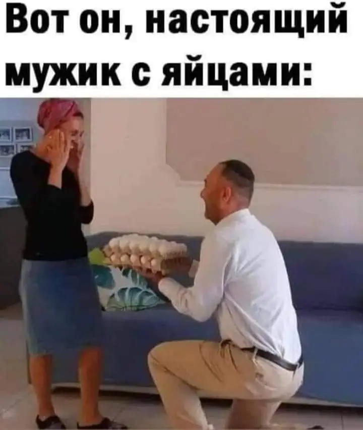 FB_IMG_1666034581724.webp
