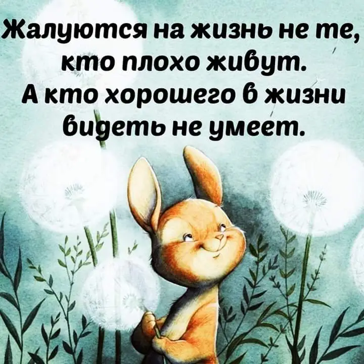 FB_IMG_1666337975452.webp