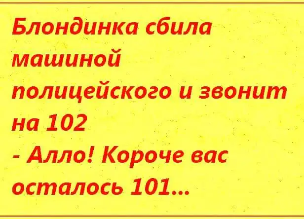 FB_IMG_1666384366565.webp