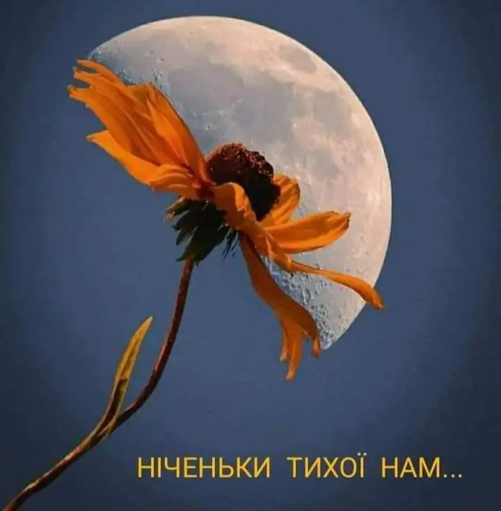 FB_IMG_1666467085827.webp