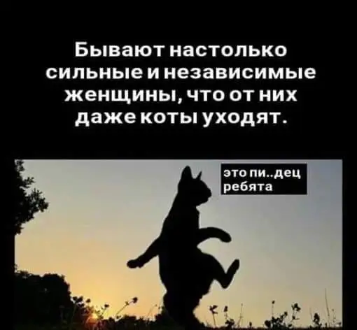 FB_IMG_1666548521182.webp