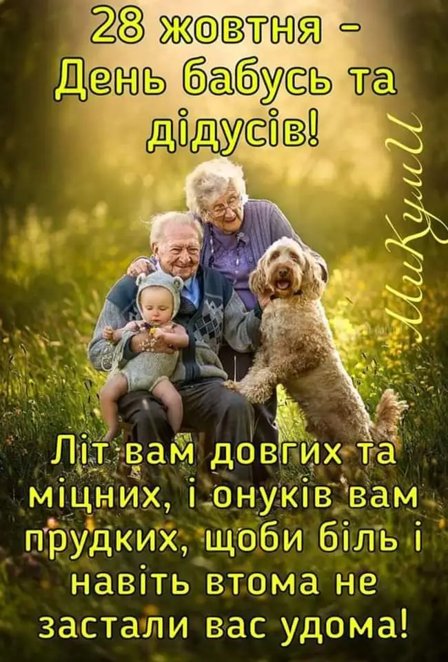 FB_IMG_1666943135931.webp