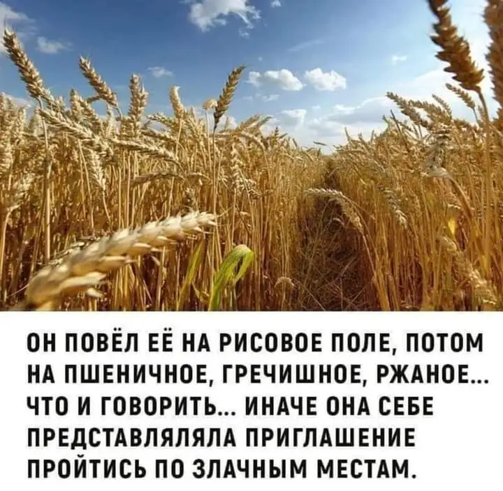 FB_IMG_1666977581958.webp