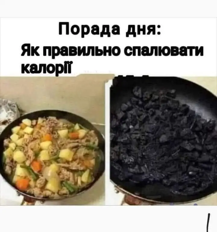 FB_IMG_1666978053330.webp