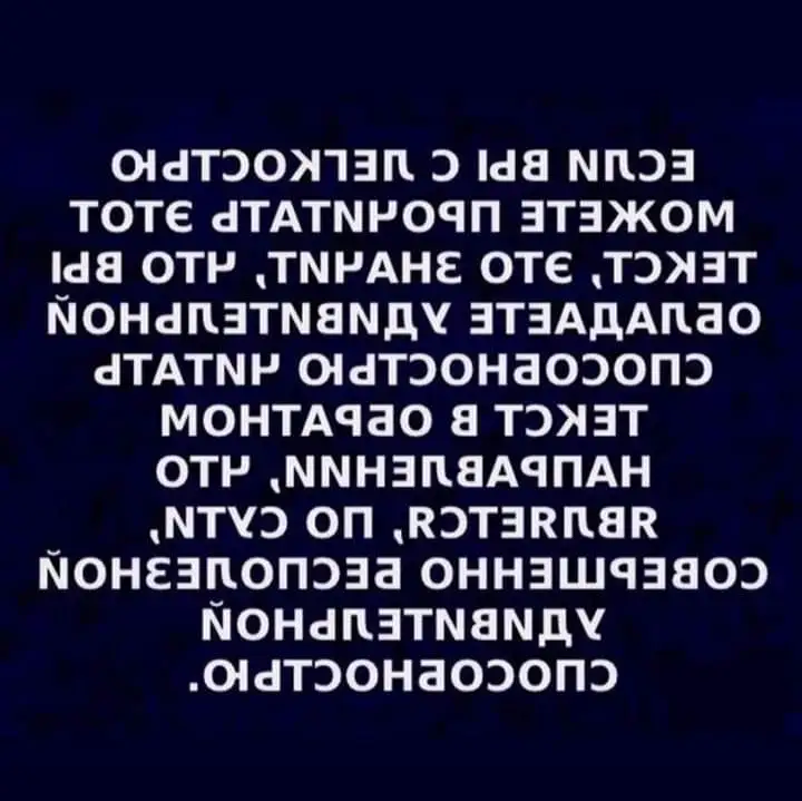 FB_IMG_1667201660004.webp