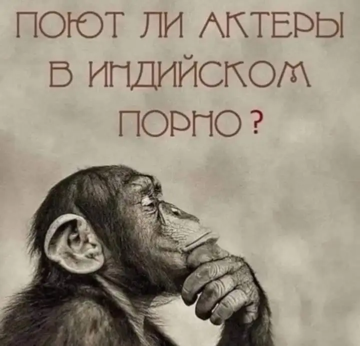 FB_IMG_1670441552743.webp