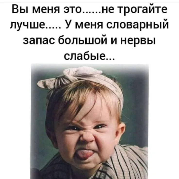 FB_IMG_16858864158523337-world5.spcs.bio.webp