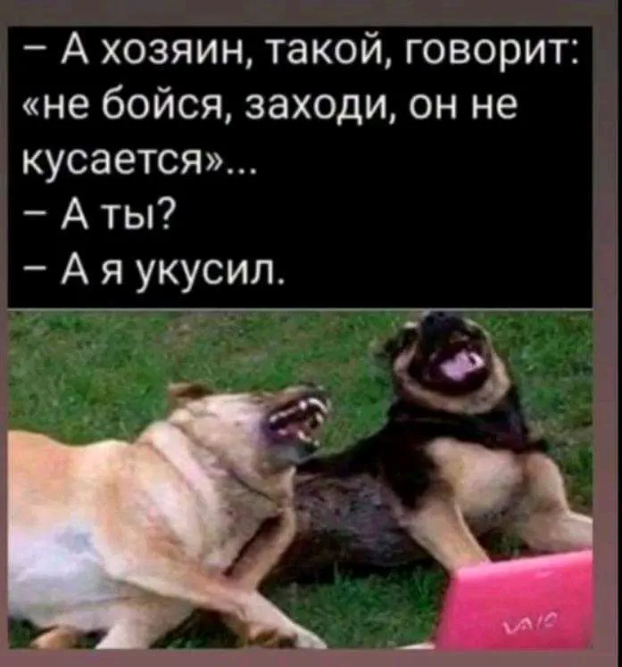 FB_IMG_16865913285265341-world7.spcs.bio.webp
