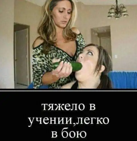FB_IMG_1687101621078-world7.spcs.bio.webp