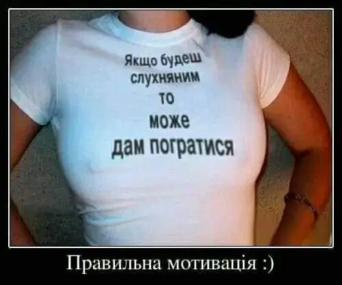 FB_IMG_1687447083071-world8.spcs.bio.webp