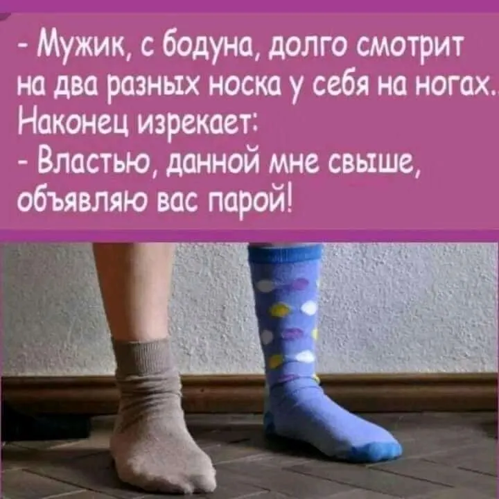 FB_IMG_16879461024852983-world9.spcs.bio.webp