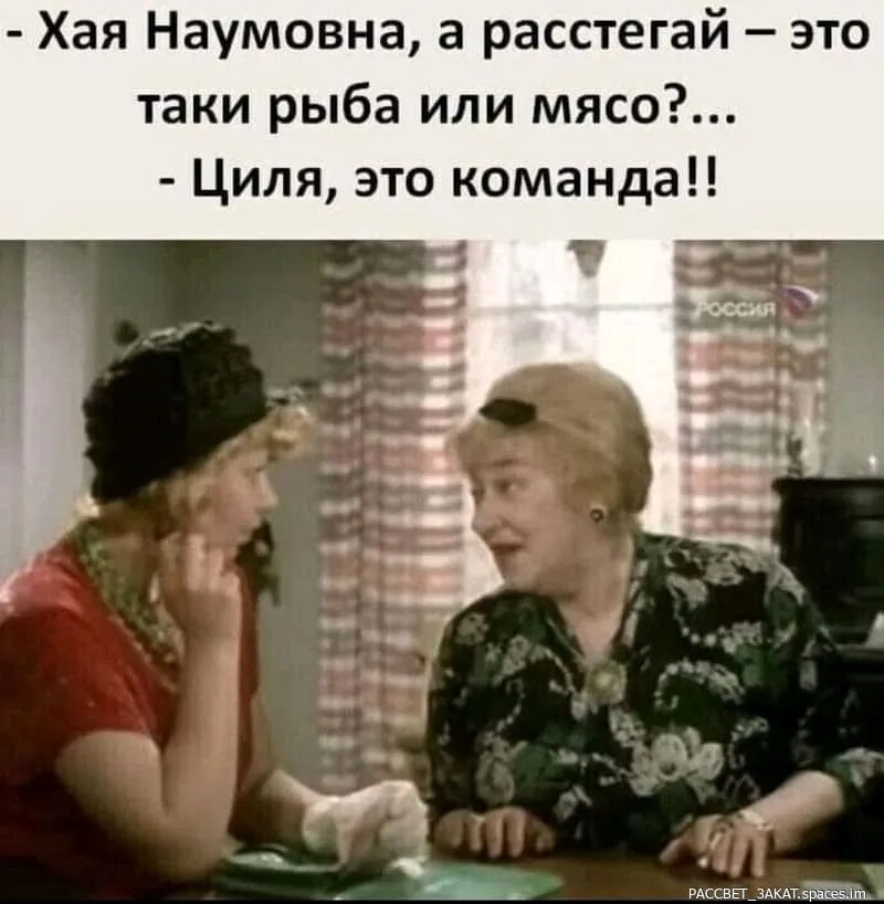 FB_IMG_16881348634743010-world11.spcs.bio.webp