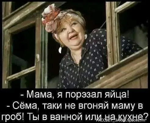 FB_IMG_16882197925987174-world11.spcs.bio.webp