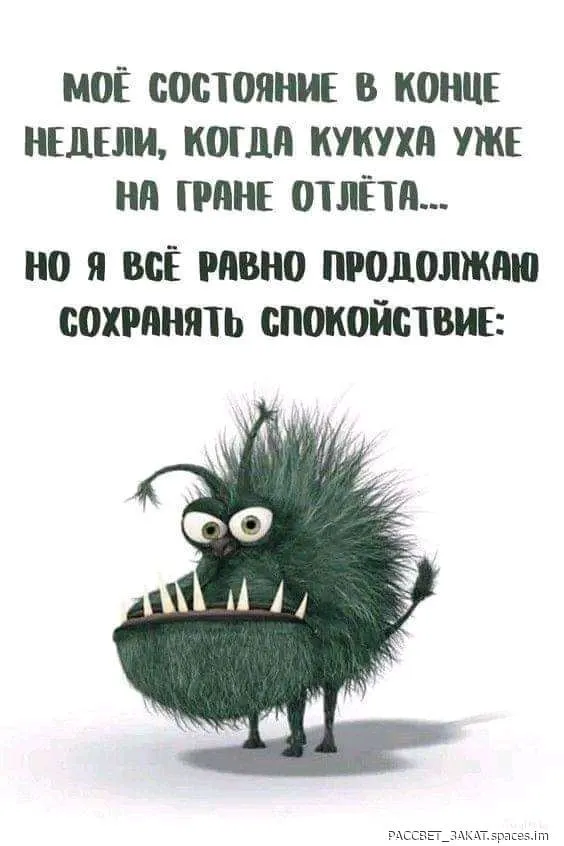 FB_IMG_16883781441305543-world11.spcs.bio.webp