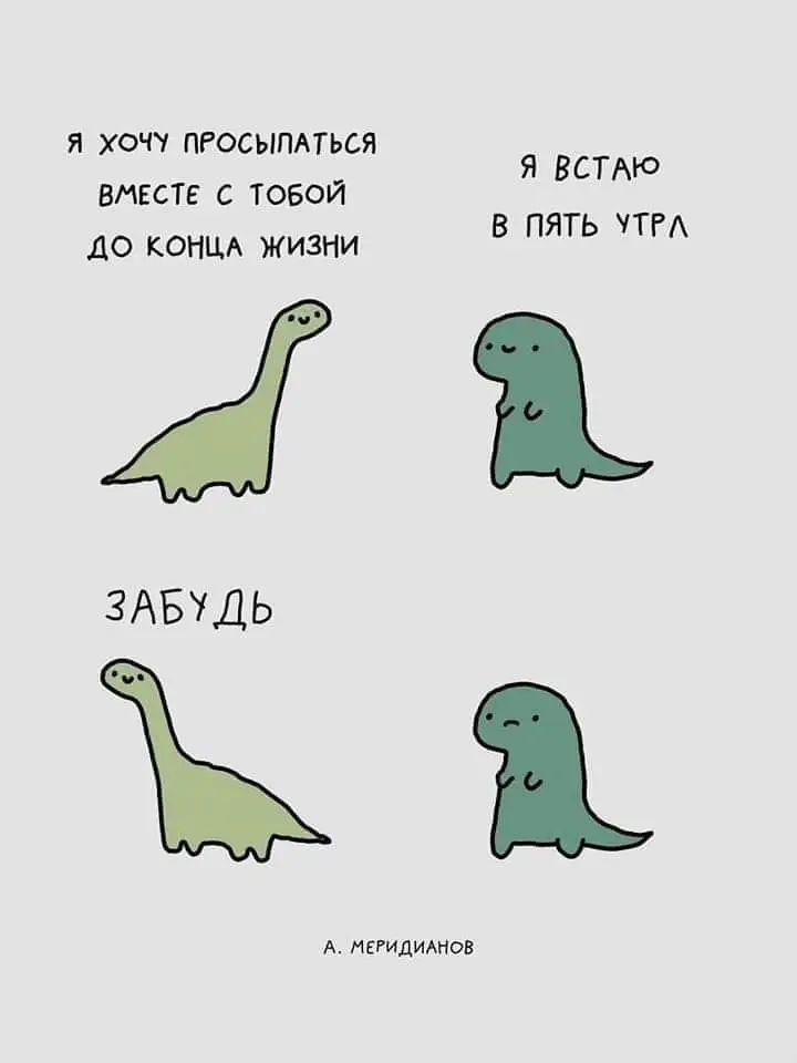 FB_IMG_1688979975493.webp