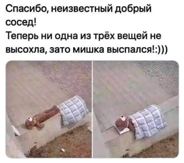 FB_IMG_1689083817651.webp