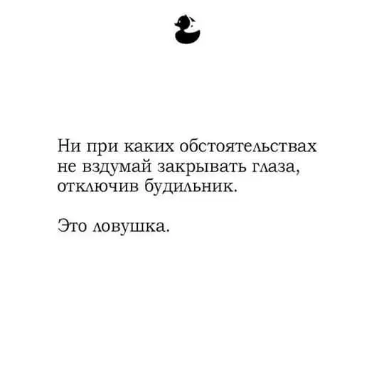 FB_IMG_1689317099682.jpg