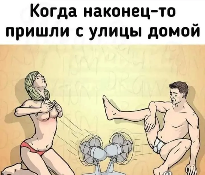 FB_IMG_1689528400620.webp