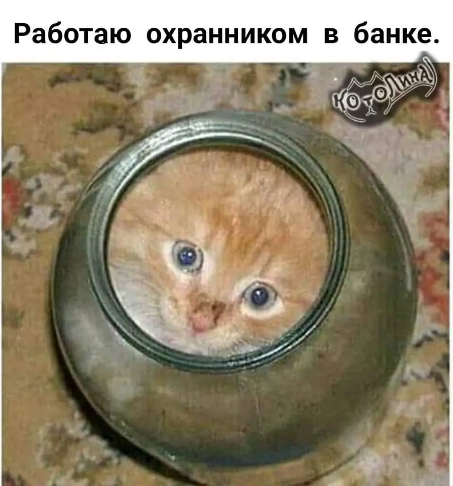 FB_IMG_1705594374981.webp