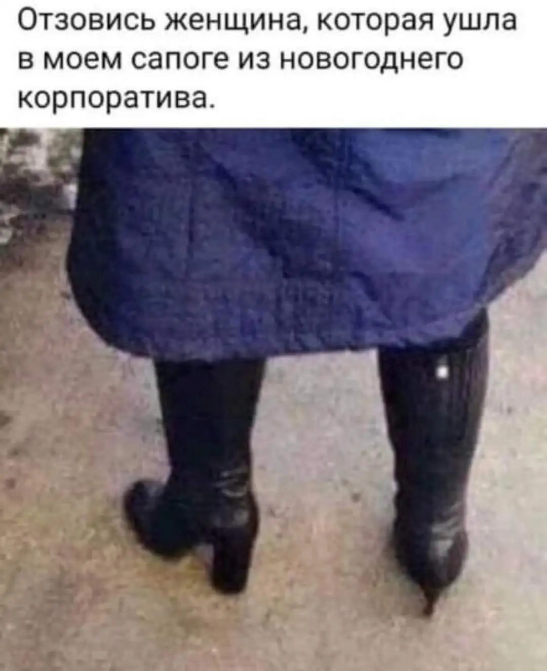 FB_IMG_1706646627186.webp