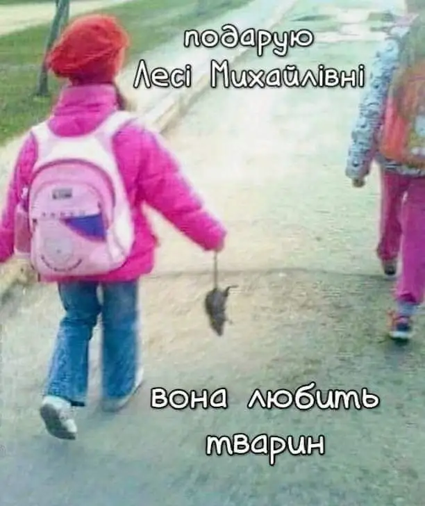 FB_IMG_1706765965290.webp