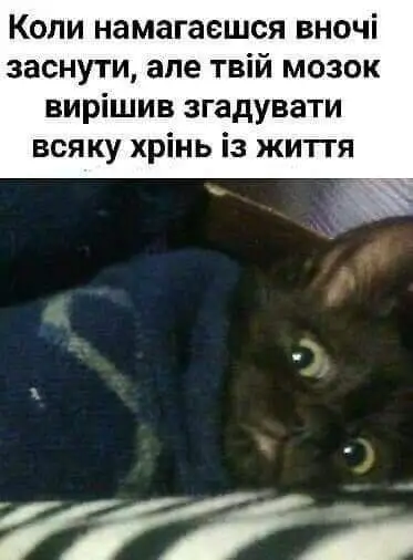 FB_IMG_1707053320848.webp
