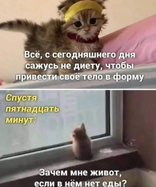 FB_IMG_1707053917957.webp